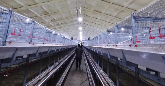 養(yǎng)鴨場老板：熱泵供暖溫度高，費用比燒煤還省！